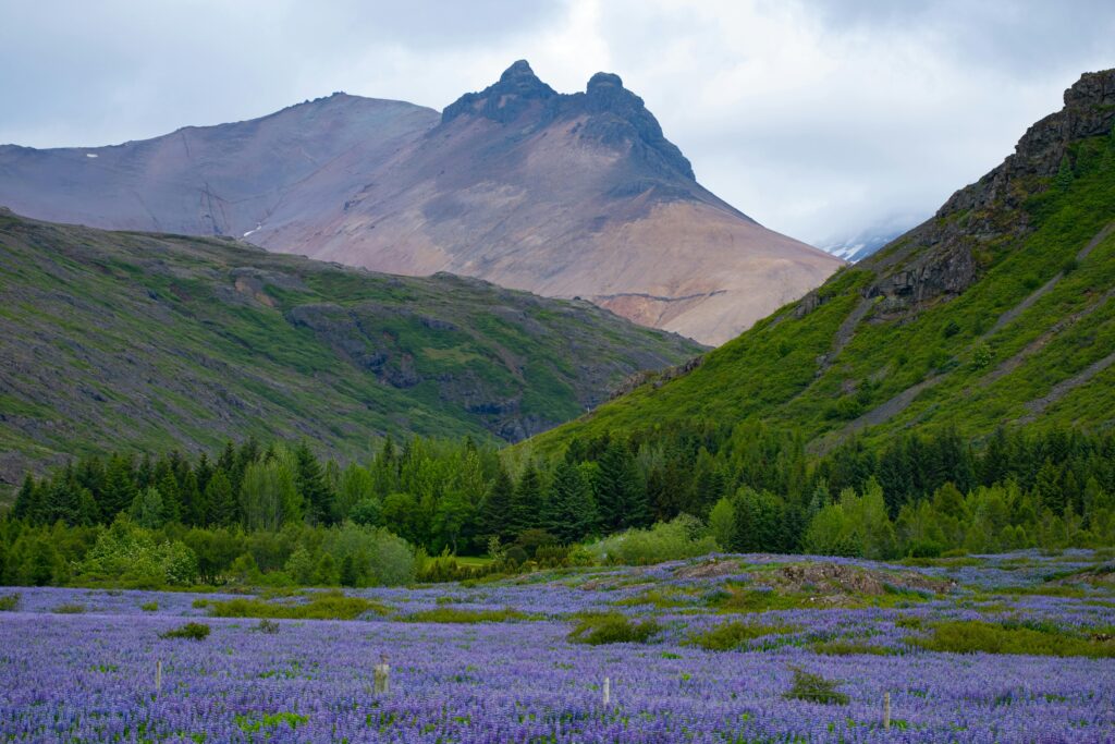 Valley-of-Flowers-trek-itinerary