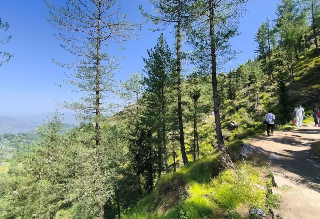 Panoramic mountain view from Kamru Nag in Mandi district, Himachal Pradesh