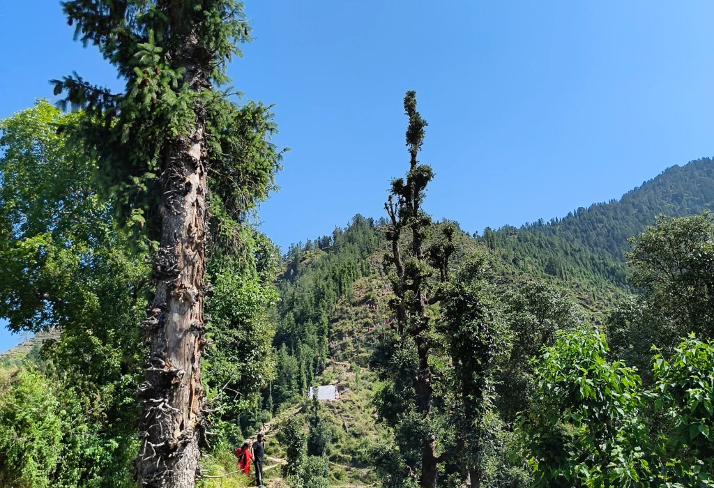 The sacred Kamrunag Lake beside the temple at the top of the trek