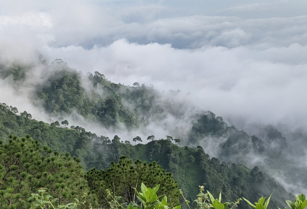 Scenic Kasauli hill station in Himachal Pradesh with misty pine forests and valley views